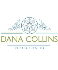 Dana Collins Logo Template